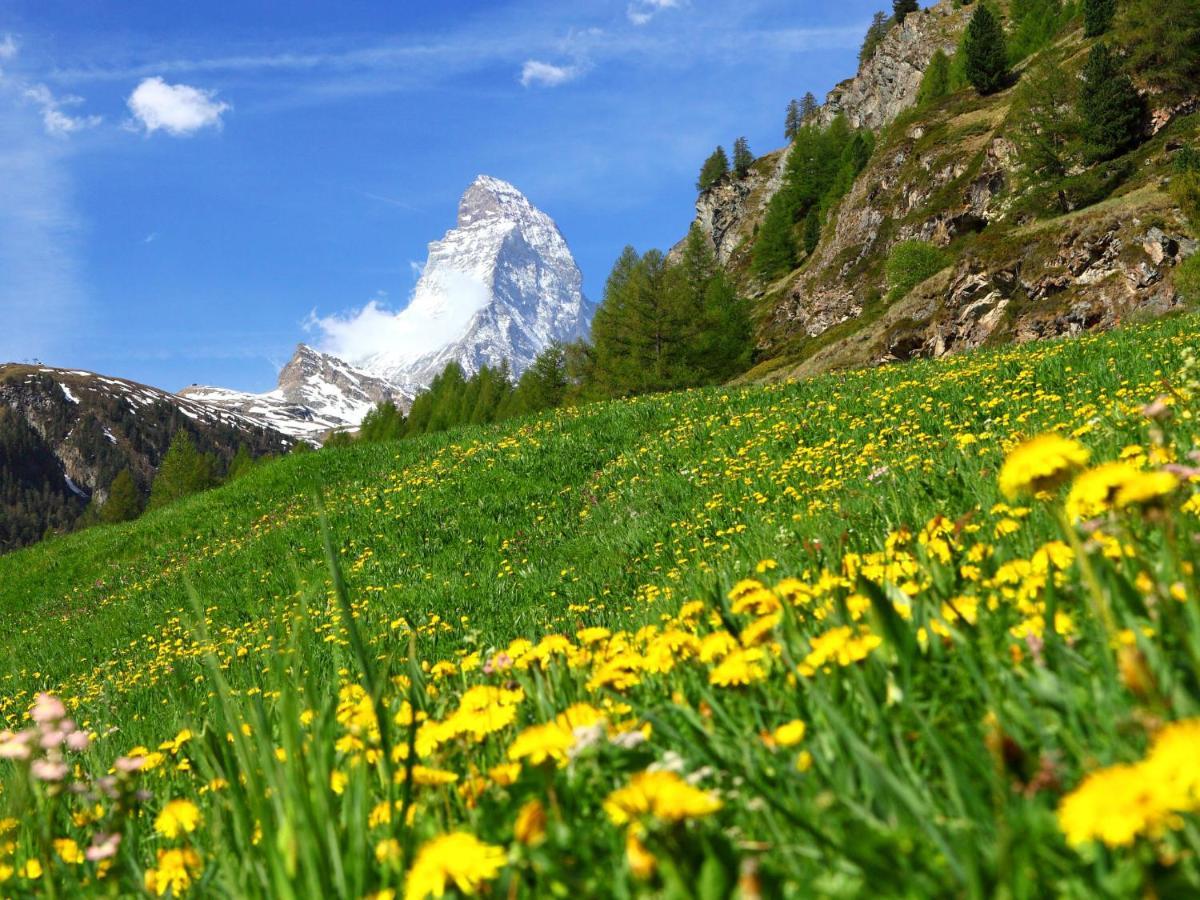 Apartment St- Martin By Interhome Zermatt Exterior photo